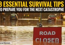 You need to know these 8 essential survival tips to prepare you for the next catastrophe