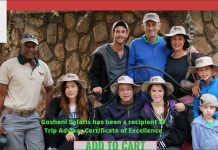 Gosheni Safaris
