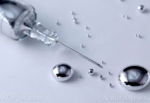 Massive corruption and criminal misconduct uncovered at the CDC; World Mercury Project issues call for extradition of vaccine research criminal