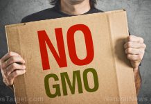 Top 12 GMO-promoting information sources to AVOID at all costs