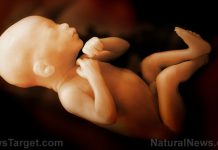 New York Times: Spike the food supply with sterilization chemicals to cause global infertility and depopulation