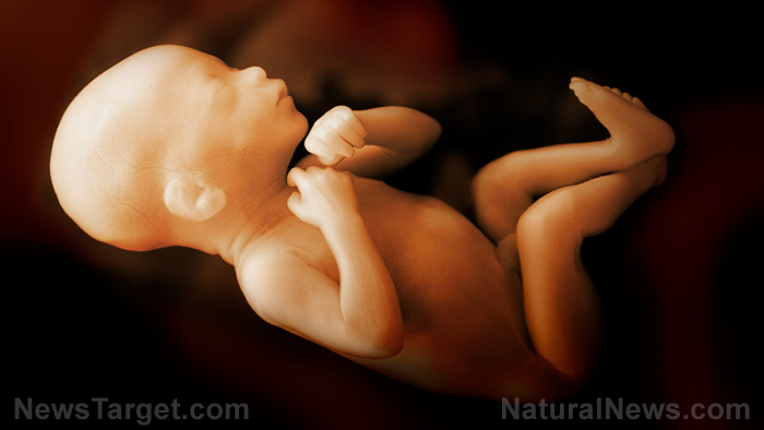 Unborn-Baby-Fetus-Womb.jpg