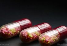 The end is near? Antibiotic resistance to spell the end of chemical medicine