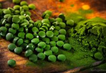 Chlorella found to dramatically improve cardiovascular health – NaturalNews.com