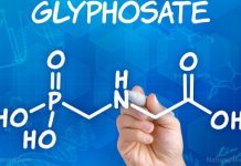 Glyphosate to be banned across Europe? Massive war raging, and poison pushing Monsanto is playing dirty – NaturalNews.com