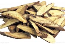 Licorice root for heart health? When combined with other herbal compounds, it regulates calcium proteins to protect your heart muscle – NaturalNews.com