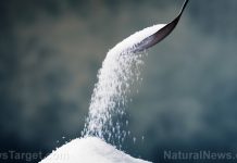 Addiction breeds addiction: Science shows high sugar diets make you more susceptible to other drugs, such as addictive opioids