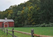 Desperate scientists push bizarre narrative, claim ancestral immigration to America caused by climate change (long before fossil fuels)