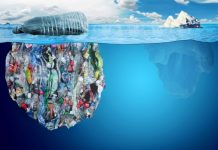 The plastic pollution problem is wide AND deep: Study finds sea animals from the deepest parts of the ocean, 7 miles down, have plastic in their stomachs