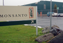 Monsanto postpones "NemaStrike" launch after new pesticide causes skin rashes among farmers