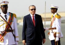 Why are so many countries expanding in the Red Sea?