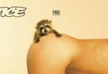 Vice admits ‘boy’s club’ culture fostered sexual harassment