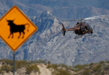 BLM thugs abused the law and used “incredible bias” against Nevada rancher Clive Bundy, warns new report