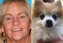 Ex-shelter volunteer fesses up to nabbing dog before adoption