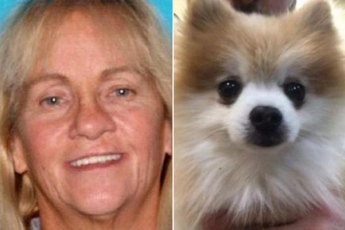 ex-shelter-volunteer-fesses-up-to-nabbing-dog-before-adoption.jpg