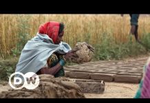 Global Slavery in the 21st century | DW Documentary