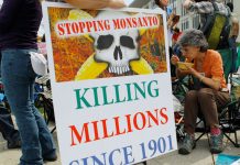 Monsanto’s latest marketing ploy: Labeling GMOs as “biofortified”