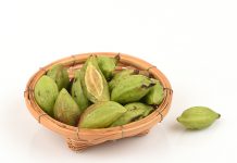 More “folk medicine” holds up under scientific scrutiny: The fruit of an evergreen tree in Bangladesh found to reduce fever, pain, inflammation
