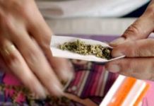 Recreational cannabis use becomes legal in California
