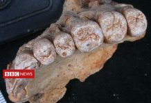 Modern humans left Africa much earlier