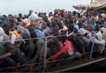 Starved. Beaten. Enslaved.