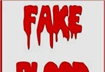 Fake Blood: by Rebecca Scott