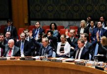 UN Security Council votes in favour of 30-day Syria ceasefire