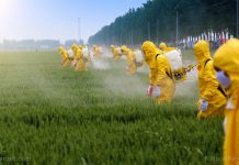 Produce suppliers are now using a chemical “freshness preserver technology” on your fruits and vegetables … but is it SAFE? – NaturalNews.com