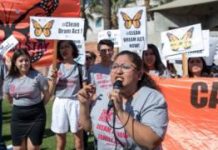Daca: Second judge blocks Trump move to end Dreamers scheme
