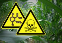 Amazon charged with 4,000 counts of selling illegal pesticides – NaturalNews.com
