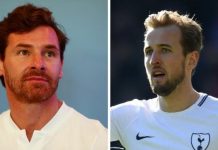 Harry Kane ‘will have to leave Tottenham if he hungers for trophies’, says former manager Andre Villas-Boas