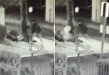 Potential serial killer targeting homeless people in Las Vegas