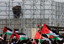 Arabs outnumber Jews in Israel, occupied territories: official