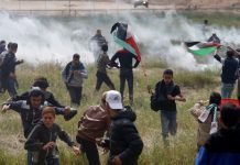 Israeli forces kill 7 Palestinians on Land Day