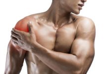 Some probiotics can improve muscle health and protein absorption: A scientific review