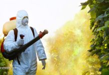 The security of our food and nutrition supply is compromised by pesticide residues, new science finds – NaturalNews.com
