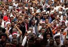 Abiy Ahmed elected as chairman of Ethiopia's ruling coalition