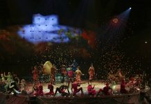 Cirque du Soleil aerialist dies after fall during show