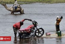 Lake Chad: Can the vanishing lake be saved?