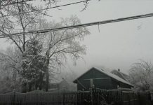 Winter storm dumps snow and knocks out power on US East Coast