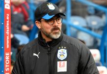 Borussia Dortmund lining up Huddersfield Town boss David Wagner in shock move – reports