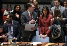 Russia vetoes US resolution on Syria chemical weapons probe