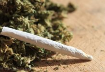 Smoking marijuana found to have the same weakening effect on the blood vessels as cigarettes