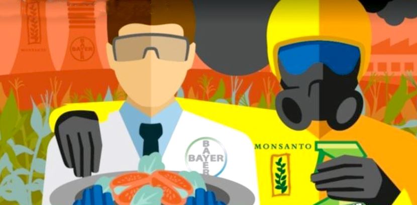 Monsanto-Bayer-Merge.jpg