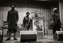 Shedding new light on the (real) Black Panthers
