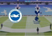 Brighton v Tottenham: Confirmed team news and preview for Premier League clash