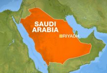 Saudi: Gunfire as police shoot down 'toy drone' near royal palace