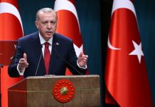 Why did Erdogan call snap elections in Turkey?