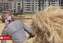 Ethiopia's farmers forced off land for housing