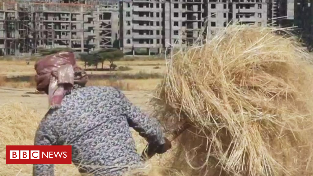 ethiopias-farmers-forced-off-land-for-housing.jpg